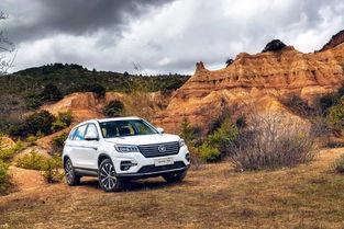 长安欧洲爆料最新消息